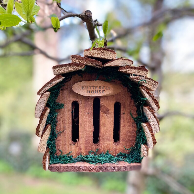 Wooden Hanging Butterfly & Ladybird House Gift Set image 2