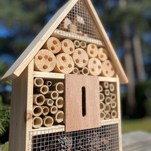 Wooden Insect, Bug & Bee House image 3