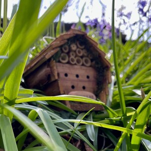 Wooden Hanging Butterfly and Insect & Bee House Gift Set image 7