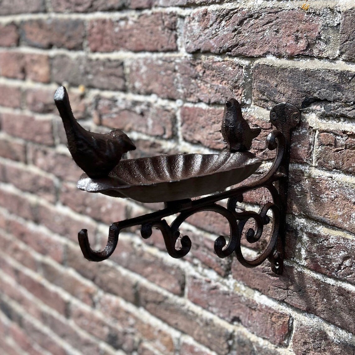 Venus Cast Iron Wall Mounted Bird Bath Feeder With Hanger Etsy