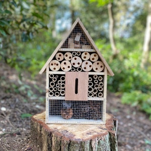 Wooden Insect, Bug & Bee House image 5