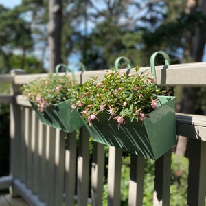 Balcony Flowers - Etsy Uk