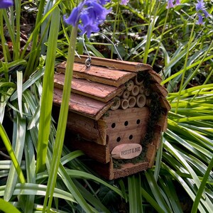 Wooden Hanging Butterfly and Insect & Bee House Gift Set image 8