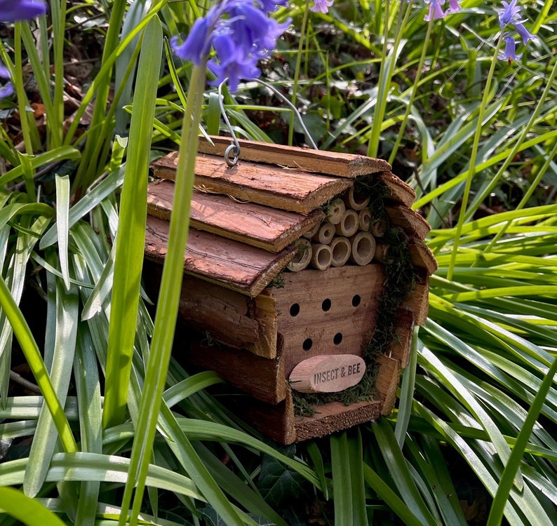 Wooden Hanging Butterfly and Insect & Bee House Gift Set image 8