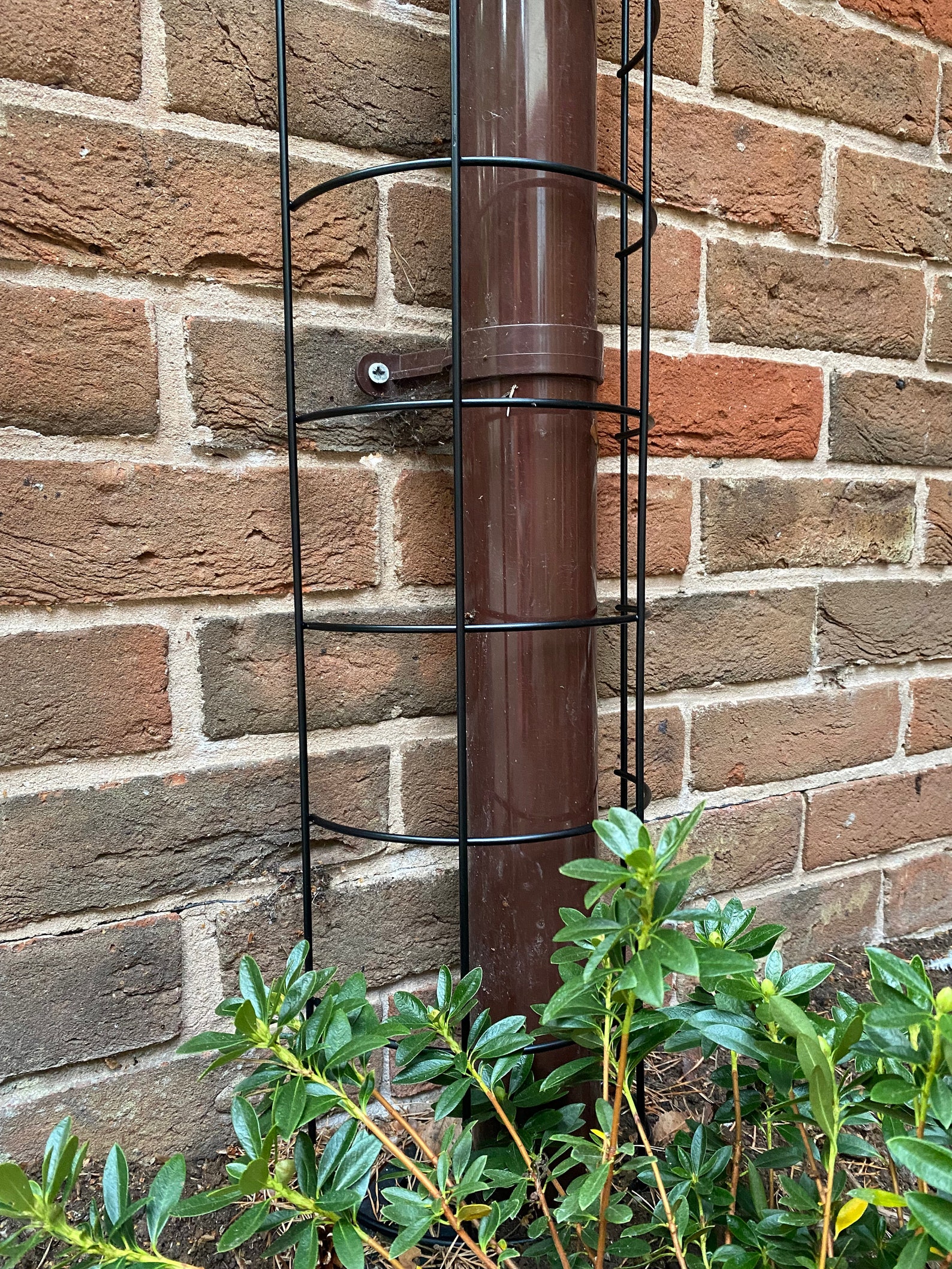 Metal Semi Circular Tube Trellis for Drainpipes set of 2 Etsy