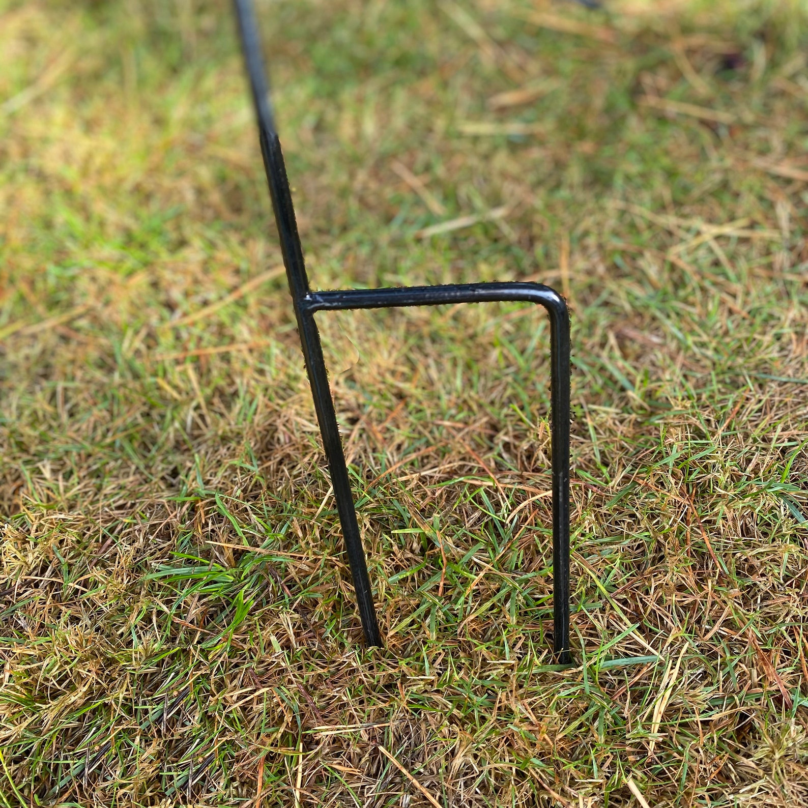 Cast Iron Daffodil Bird Feeder Flower Dish set of 2 Etsy