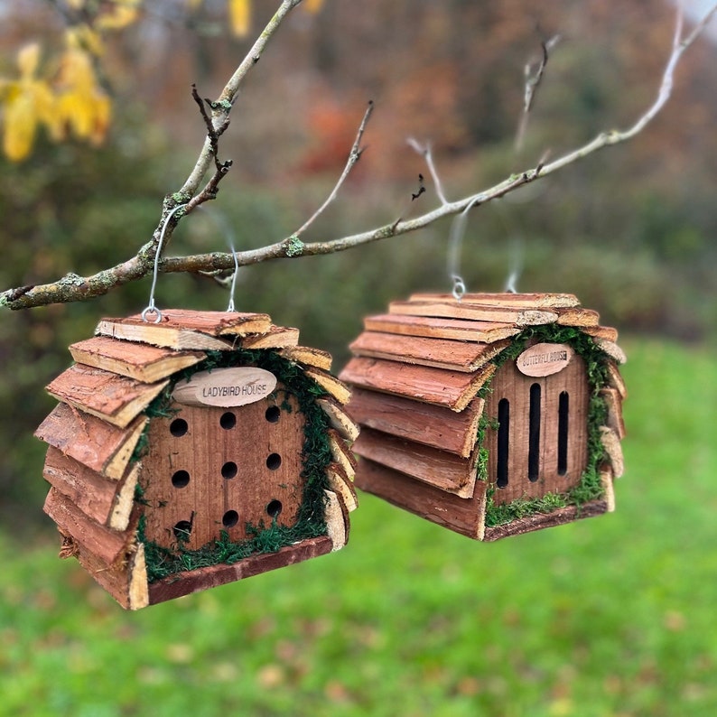 Wooden Hanging Butterfly & Ladybird House Gift Set image 1