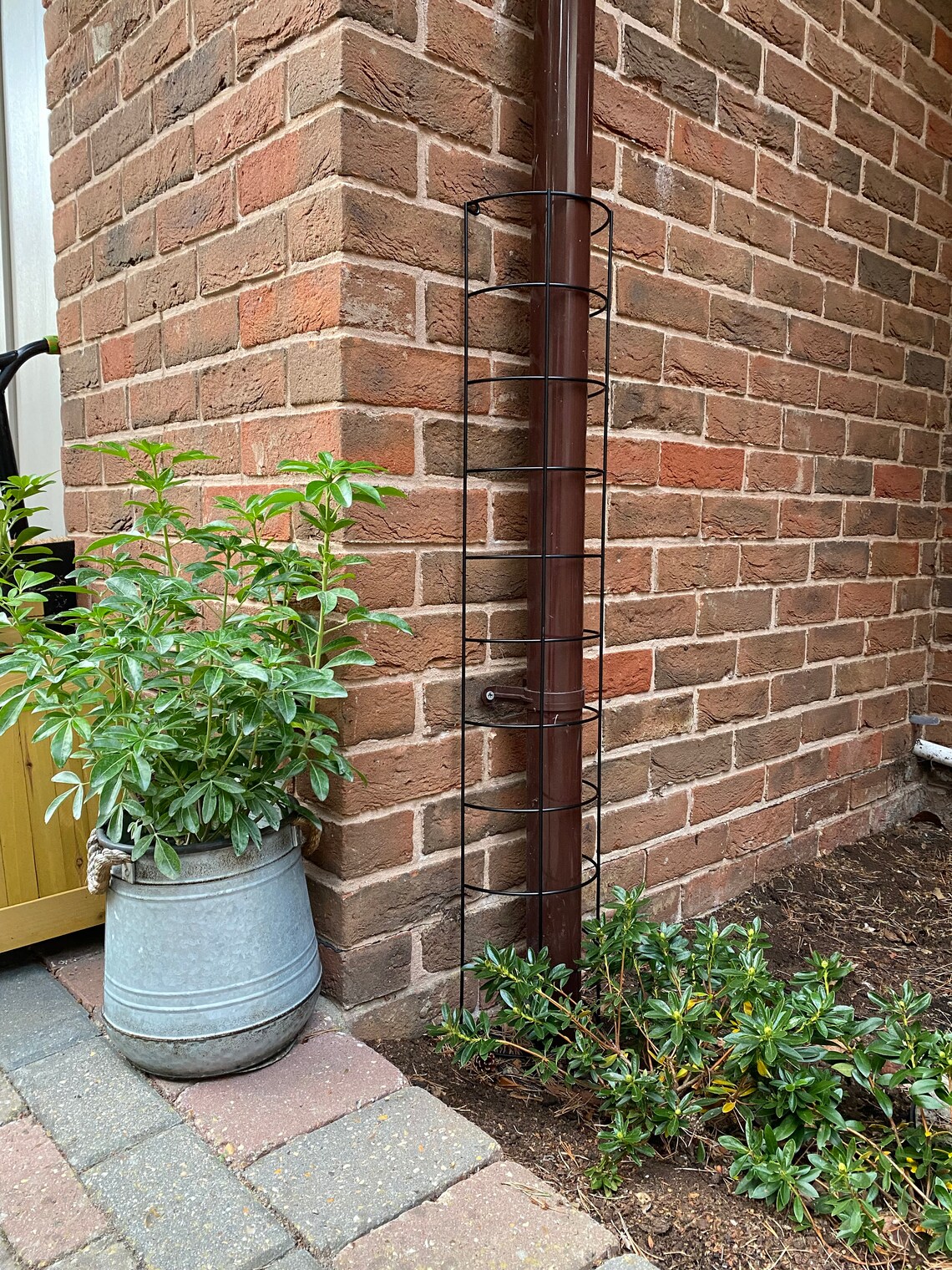 Metal Semi Circular Tube Trellis for Drainpipes set of 2 Etsy