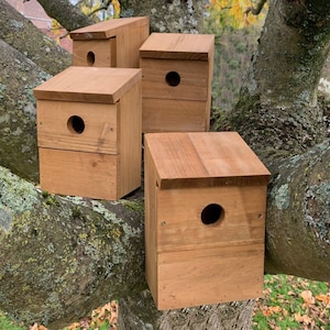 Set Of Four Classic Wooden Multi-Hole Bird Roosting Nest Boxes