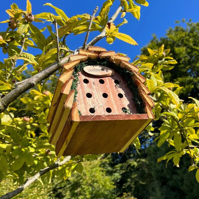 Wooden Hanging Butterfly & Ladybird House Gift Set image 10