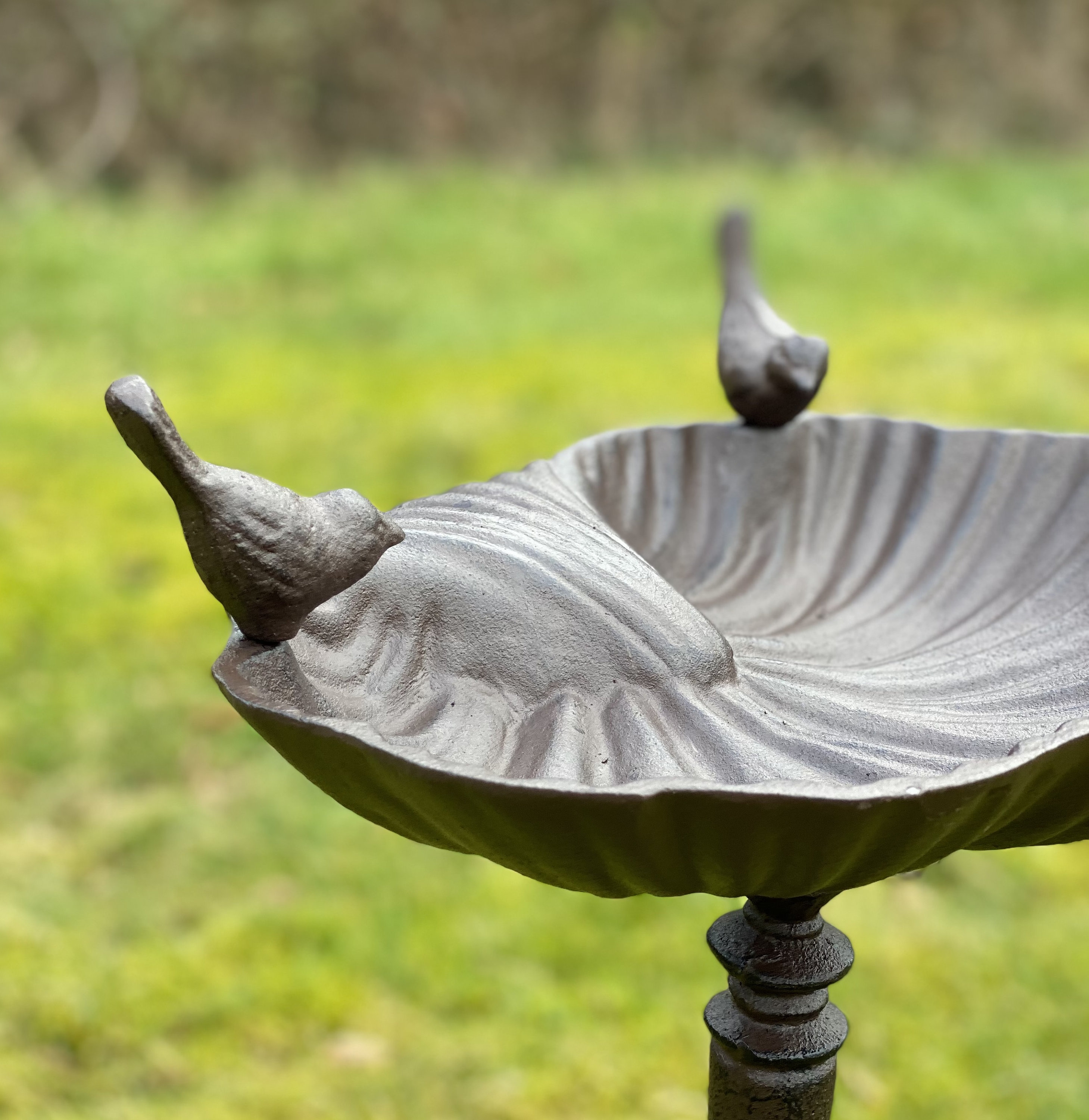 Decorative Cast Iron Bird Bath Etsy UK