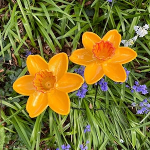 Cast Iron Daffodil Bird Feeder Flower Dishes