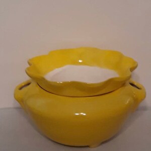 May include: Yellow ceramic self-watering planter with a scalloped top and two handles. The planter has a white interior and sits on three small feet.