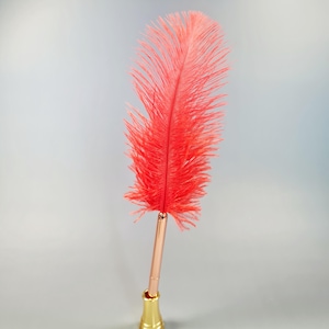 May include: A bright pink ostrich feather quill pen with a gold metal base.