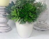 Fake Succulent Arrangement in White Ceramic Pot, Modern Table Decor, Faux Greenery in Pots, Artificial Succulents in Pots
