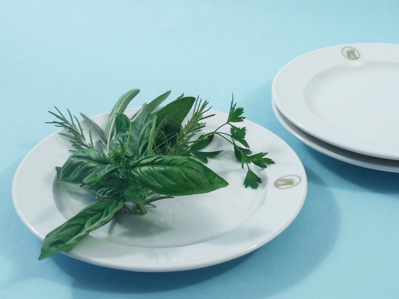 Set of 3 Vintage White Hotel China Salad Plates by Rosenthal for Holland-America