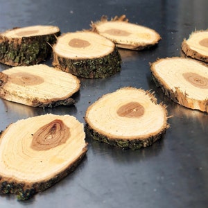 May include: Eight wooden slices with bark edges, each with a different wood grain pattern. The slices are arranged on a silver surface.
