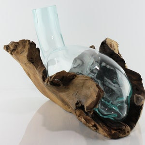 May include: A clear glass vase with a unique shape is nestled inside a piece of driftwood. The wood is a natural brown color and has a rough texture.