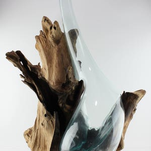 May include: A clear glass vase with a unique curved shape is nestled in a natural, weathered piece of driftwood. The vase is tall and slender, with a wide opening at the top. The driftwood is brown and gray, with a rough, textured surface. The vase and driftwood are a beautiful combination of natural elements.