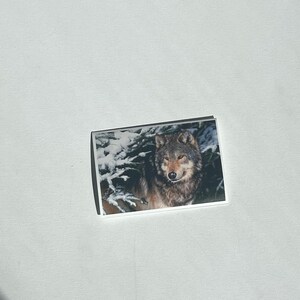 vintage gray wolf blank card
