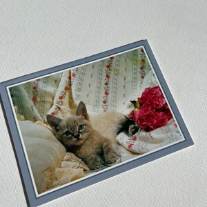 vintage 90s cat blank card