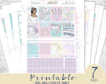 DESTASH PRINTABLE STICKER Kit - Weekly Kit - Planner Girl - Cleaning Printable Planner Stickers