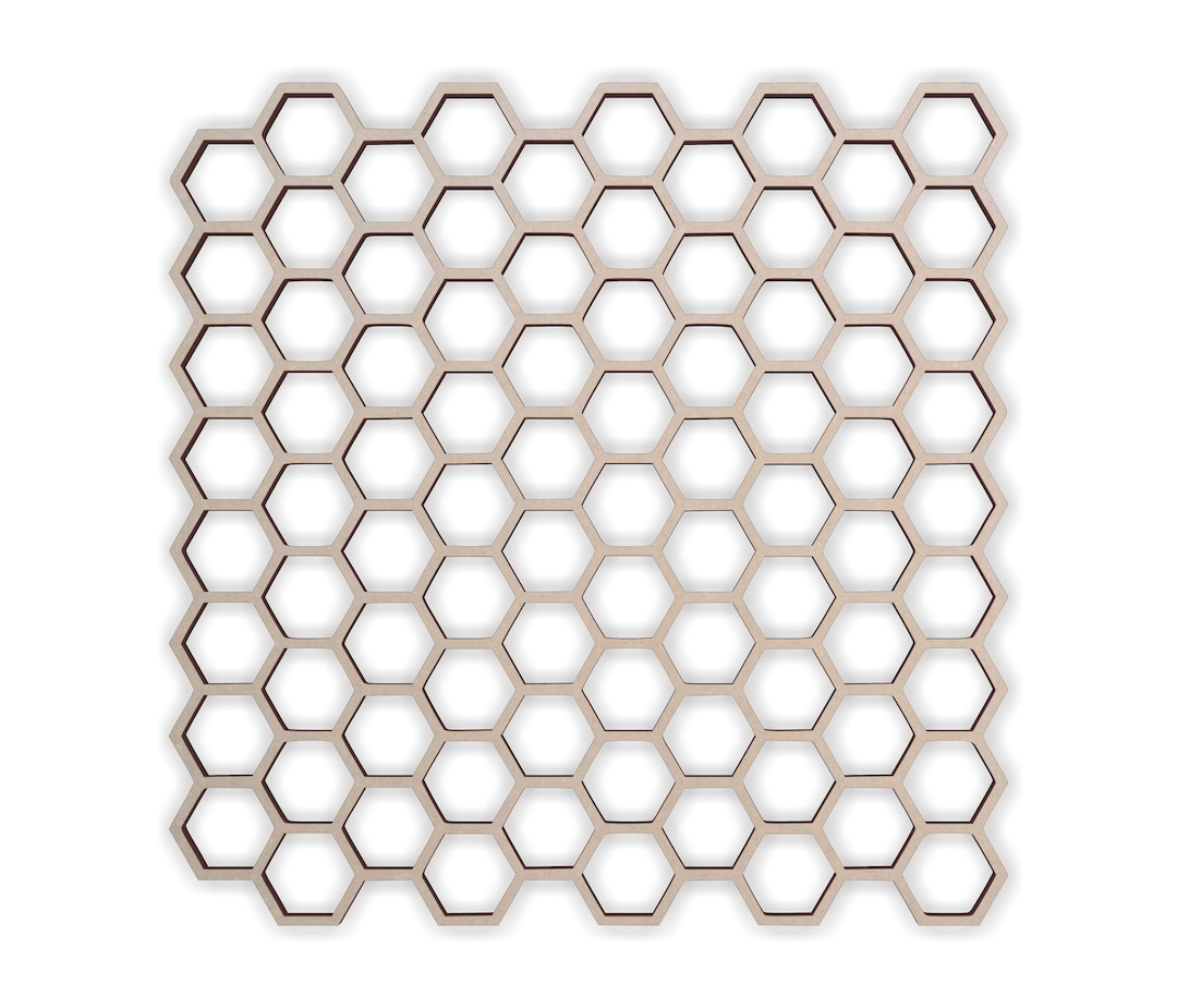 Noci Di Romagna - Il Nuovo Raccolto Sta Per Arrivare! - New Factor - Foto 10