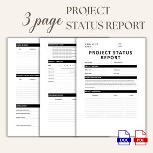 Project Status Report Template, 3-Page Project Update Web Development, Editable Ms Word PDF, Progress Report for Managers, Freelancers PP07