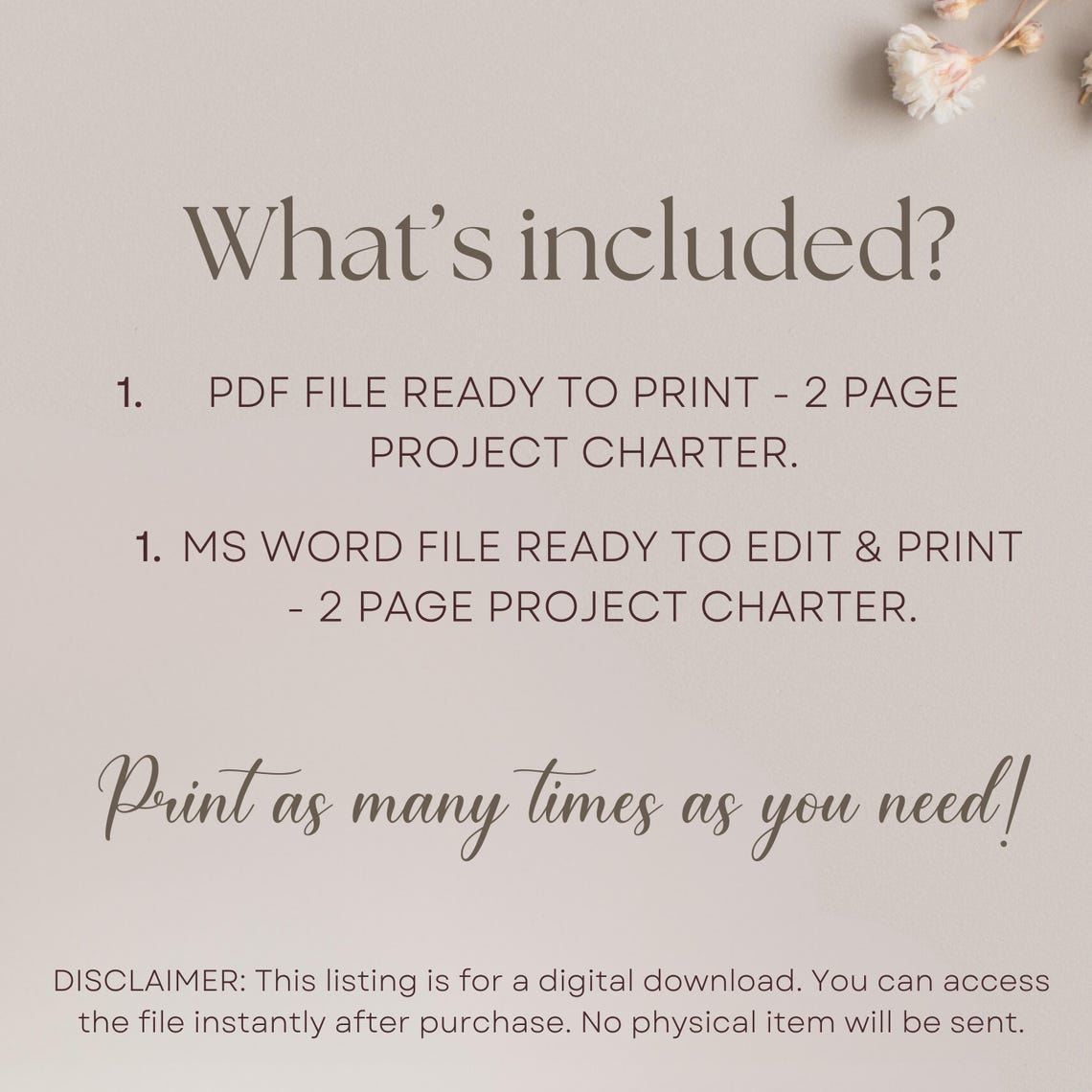 Project Charter Template Editable Ms Word PDF, How to Write a Project ...