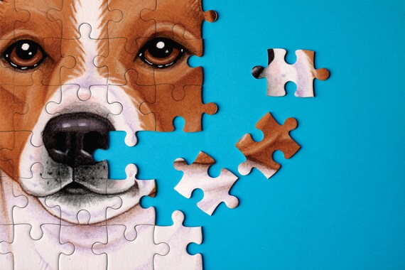 jack russell jigsaw