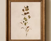 Articolo da questo negozio