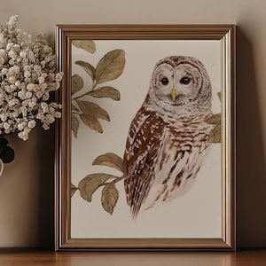 Barred Owl Among Leaves Watercolor Painting - Nature-inspired Art Print - Bird Art and Illustration - Woodland Owl - Cottage Decor
