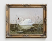 Articolo da questo negozio