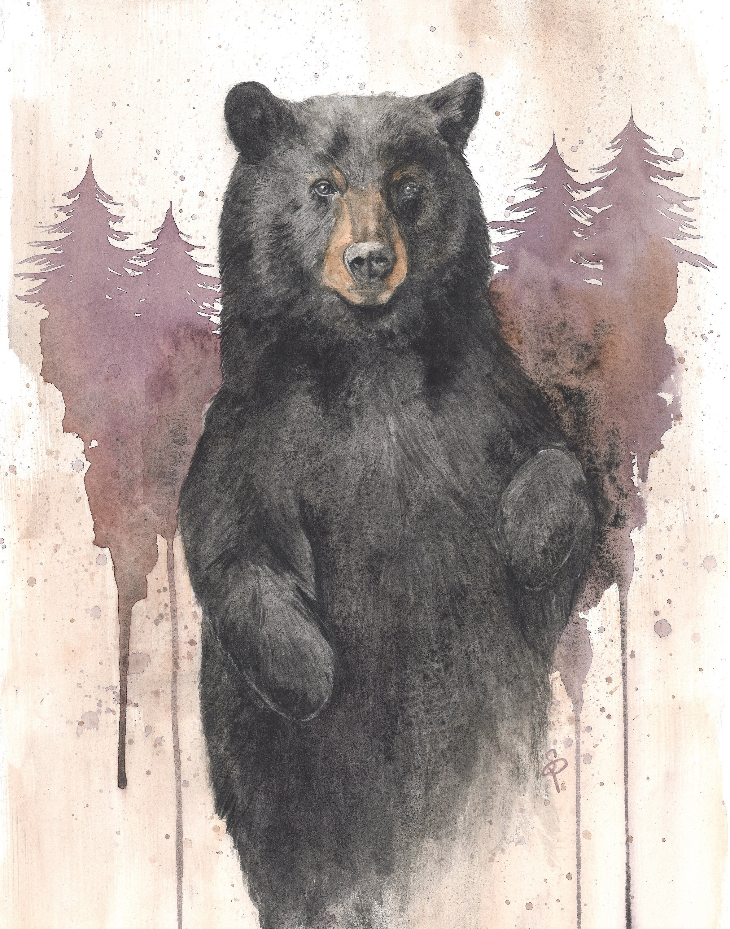 Black bear coat hot sale