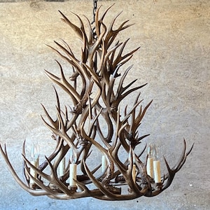 Natural REAL Antler Chandelier 40"w x 36"h