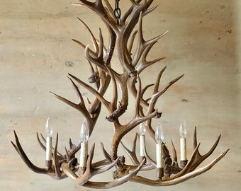 Antler Chandelier  36" x 32"