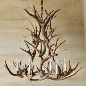 Antler Chandelier  36" x 32"