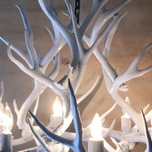 Puede incluir: Candelabro de asta de ciervo blanco con una cadena que cuelga del techo y bombillas en cada punto de la asta.