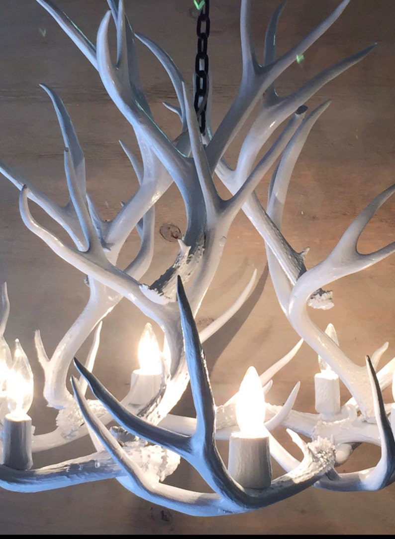 Puede incluir: Candelabro de asta de ciervo blanco con una cadena que cuelga del techo y bombillas en cada punto de la asta.