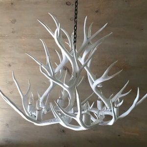 Puede incluir: Candelabro de asta de ciervo blanco con una cadena que cuelga del techo. Las astas est&aacute;n dispuestas en un patr&oacute;n circular con bombillas en el centro.