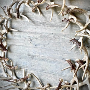 44 Large REAL Antler Wreath image 3