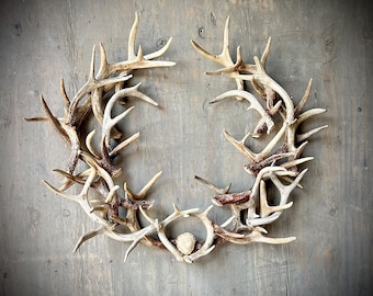 REAL Antler Shield Wreath 28"