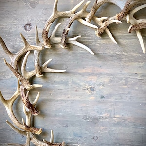 44 Large REAL Antler Wreath image 4