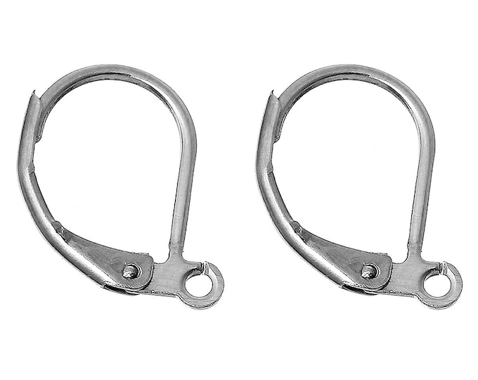 5 Pr (10pcs) 304 Stainless Steel Silver Tone Leverback Ear Wires 16x11mm  (A220d)