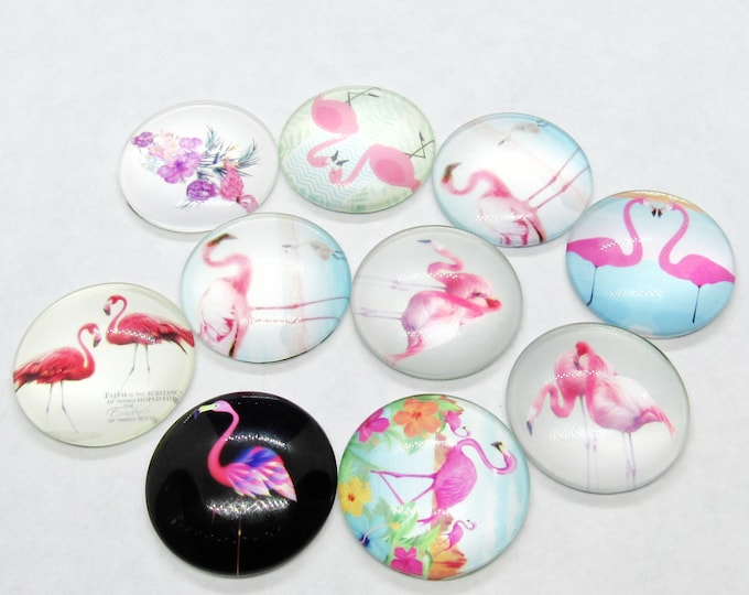 10 Assorted Flamingo Half Round Dome Flat Back Glass Cabochons 25mm (A70f)