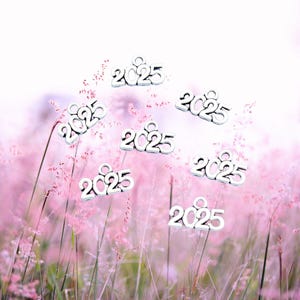 10 pcs. 2025 Year Antique Silver Charm Year 2025 Date 14mm X 9mm Silver Charm Pendant