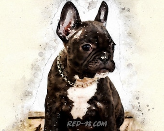 French bulldog portrait , watercolors , wall art , mounted canvas