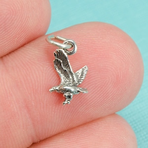 Puede incluir: Encanto de plata de un águila volando con las alas extendidas. El encanto es pequeño y detallado, perfecto para agregar un toque de naturaleza a las joyas.