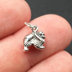 May include: Silver charm of a Pomeranian dog, standing on all four paws, with a fluffy tail. The charm is small and detailed, perfect for adding a touch of personality to a necklace or bracelet.