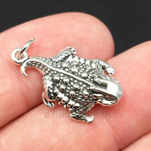 May include: A silver charm in the shape of a horned toad. The charm is detailed with textured skin and a curled tail.